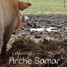  Verein Lebenshof Arche Samar